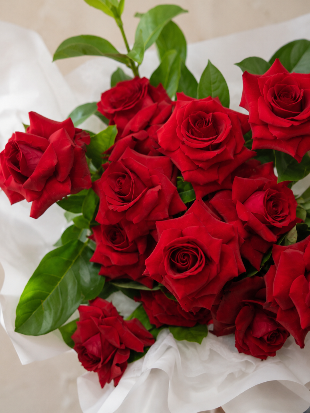 Romance & Love