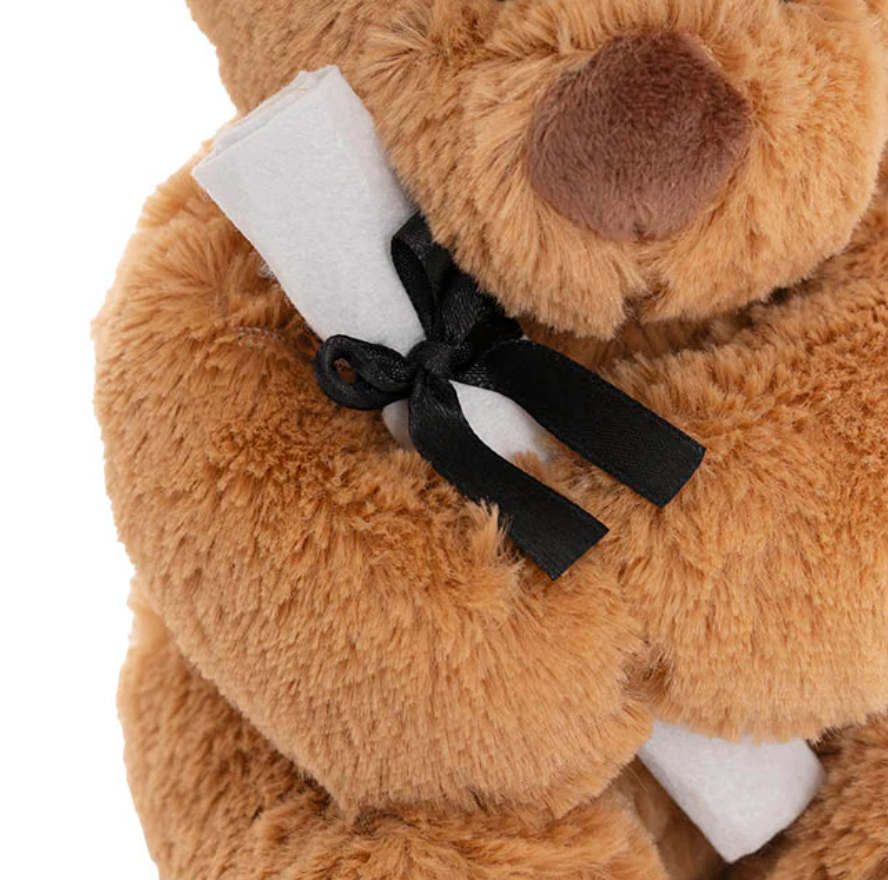 Graduation Teddy Bear Harvey Plush Soft Toy Brown (20cmST)