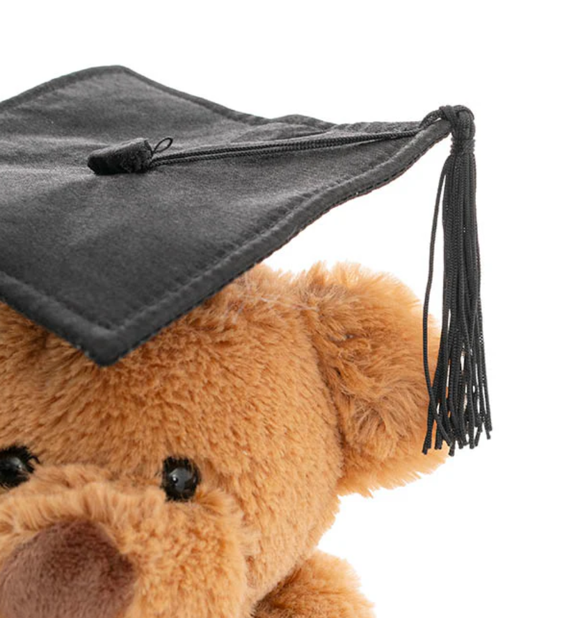 Graduation Teddy Bear Harvey Plush Soft Toy Brown (20cmST)