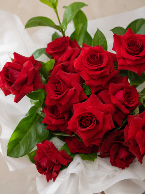 Classic Red Roses