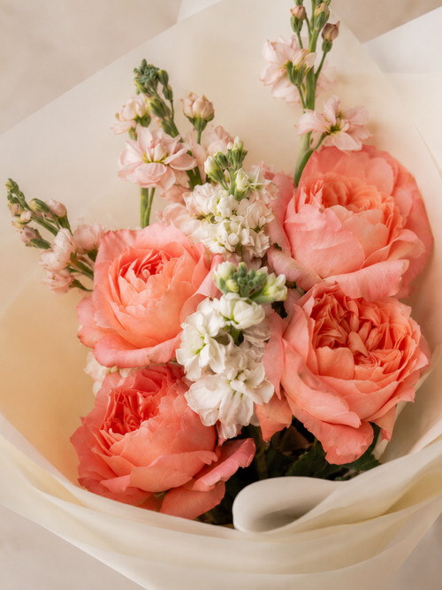 Apricot Whisper