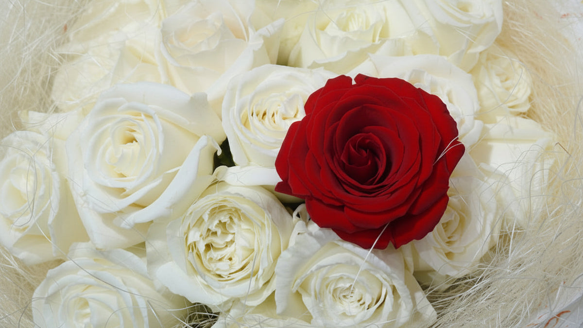 White Rose Bouquet with One Red Rose
