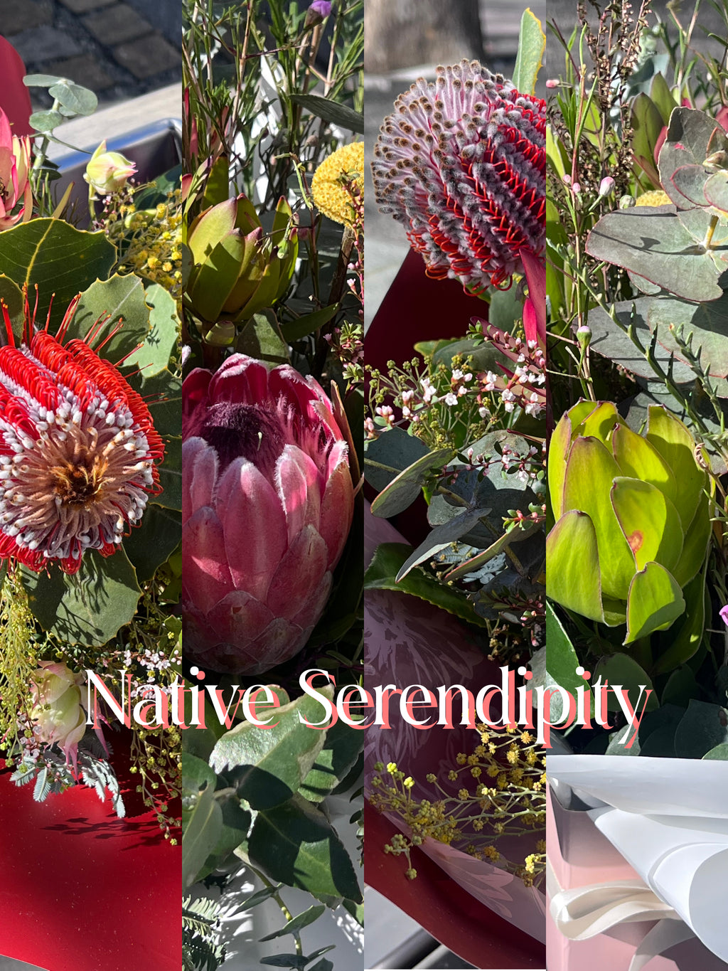 Native Serendipity — Australian Florist's Choice
